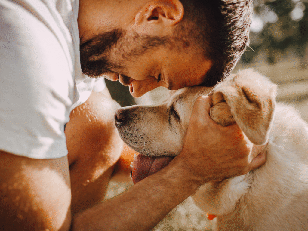 Pet Boarding for Dogs Near Me