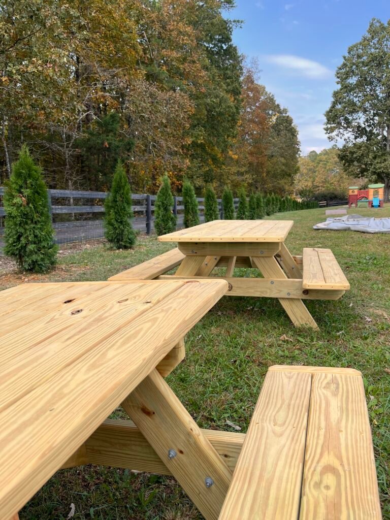 Dog Boarding Leesburg