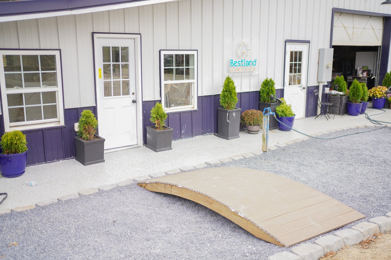 overnight dog boarding Lafayette GA how to choose dog boarding